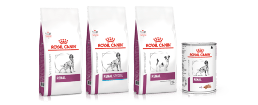 Linha Renal Royal Canin para cães 