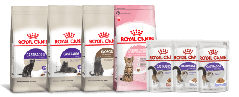 castração de gatos têm alimentos específicos na Royal Canin