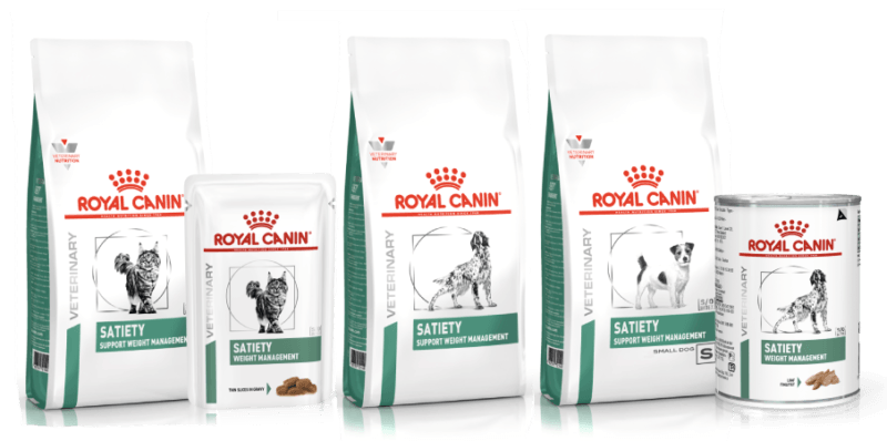 linha Satiety Royal Canin