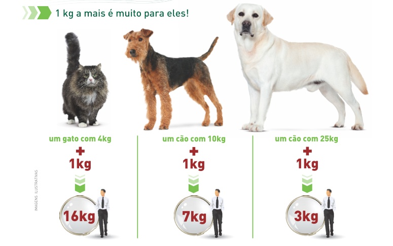 Comparação entre humano e cão em relação ao ganho de peso