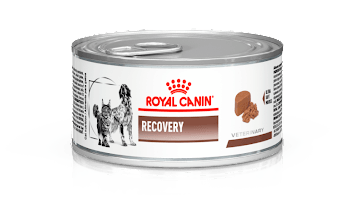 Embalagem do alimento Recovery da Royal Canin