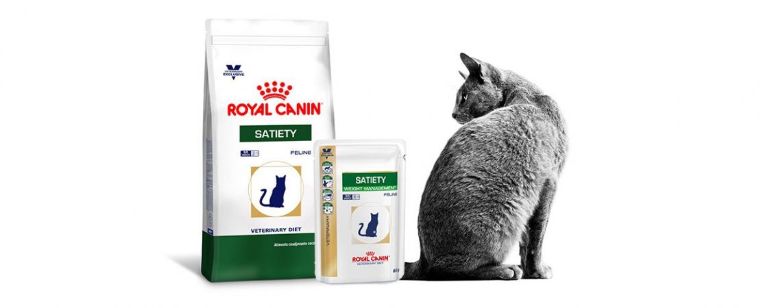 Para uma dieta de controle de peso mais completa e atrativa: Royal Canin® Satiety Feline Wet