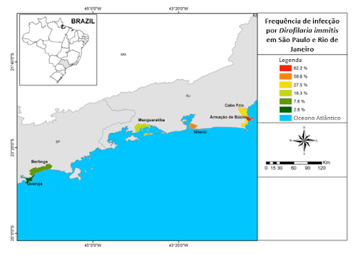 mapa mostra frequência da infecção por Dirofilariose em São Paulo e Rio de Janeiro
