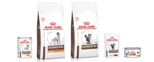 alimentos da linha Gastrointestinal para cães e gatos da Royal Canin