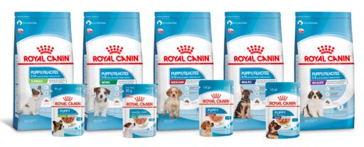 Alimentos Royal Canin para cães filhotes