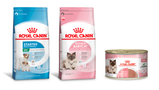produtos Royal Canin para a saúde de filhotes e a prevenção da tríade neonatal