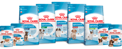 Alimentos Royal Canin para cães que dão suporte às vacinas para filhotes