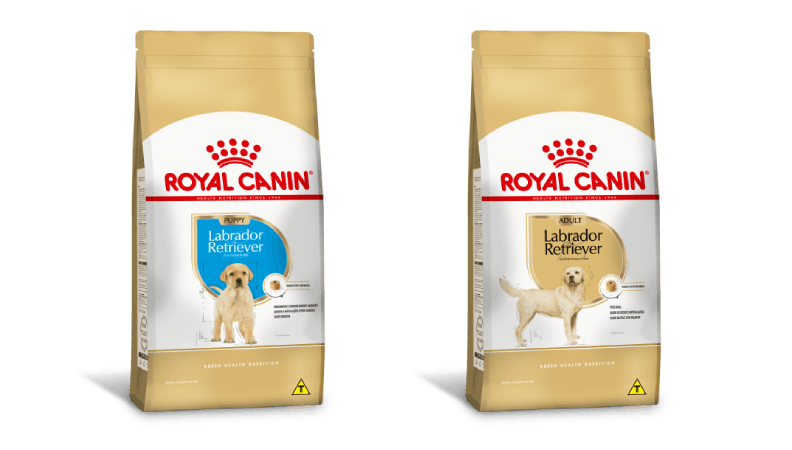 Opções de alimento Royal Canin para cães da raça Labrador Retriever
