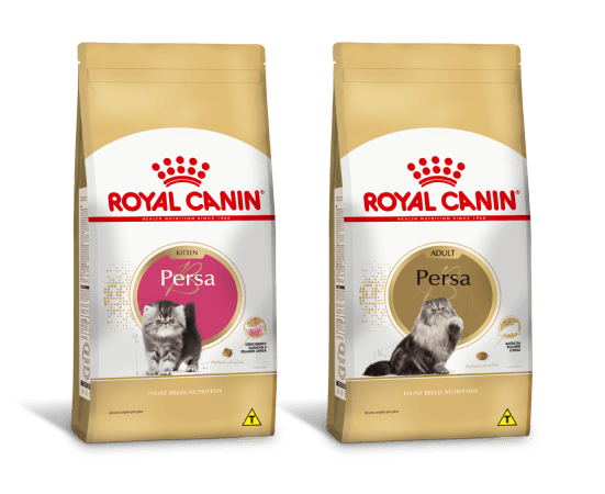 Alimentos Royal Canin para raça de gato Persa