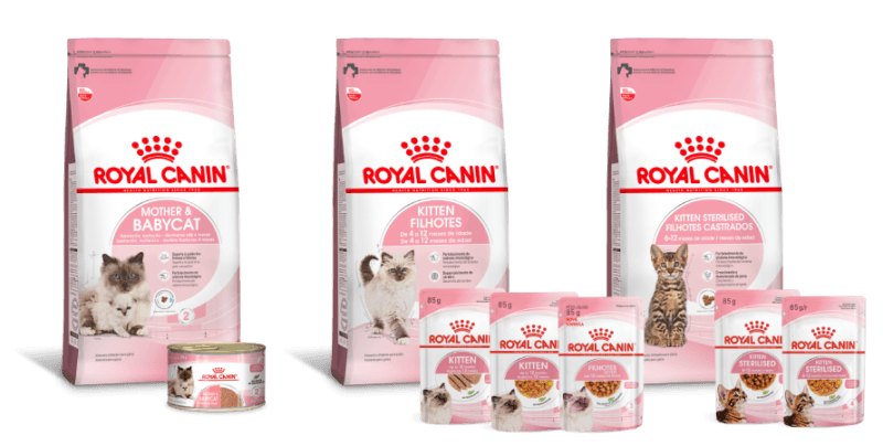 Linha de alimentos Royal Canin para felinos filhotes e adultos