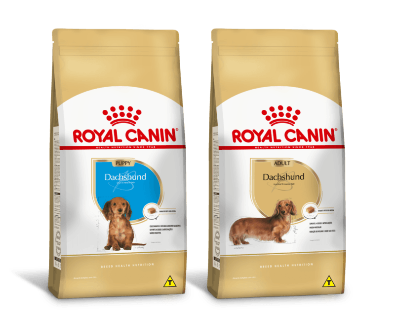 Alimentos Royal Canin para cães da raça dachshund